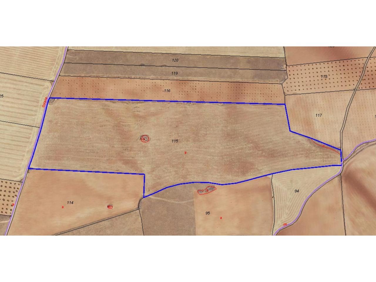 Finca rústica en venta en Manzanares