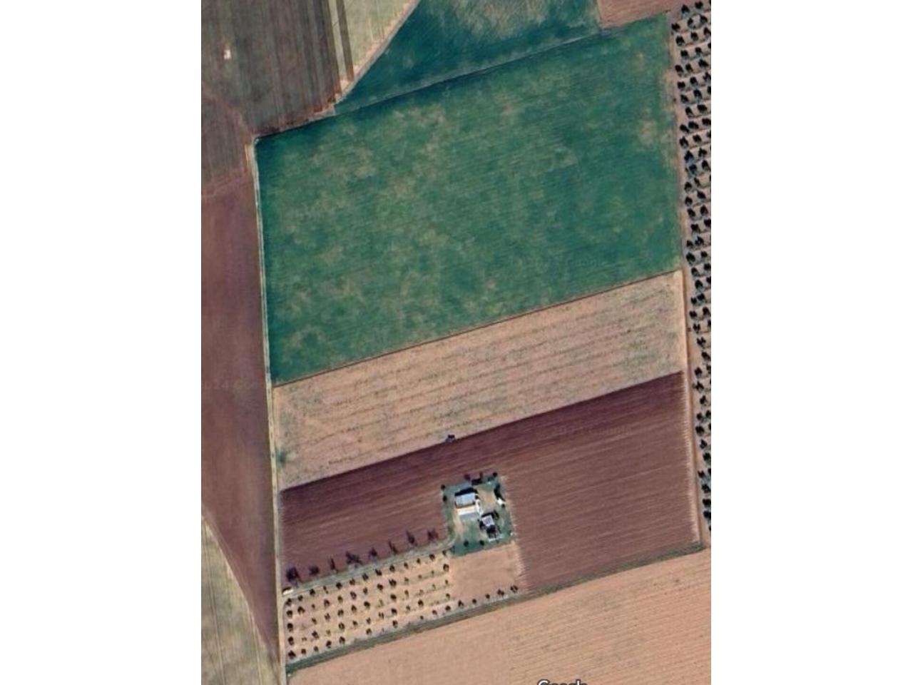 Finca rústica en venta en Manzanares