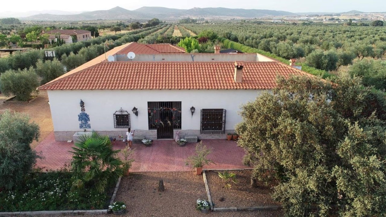 CASA de CAMPO con OLIVAR