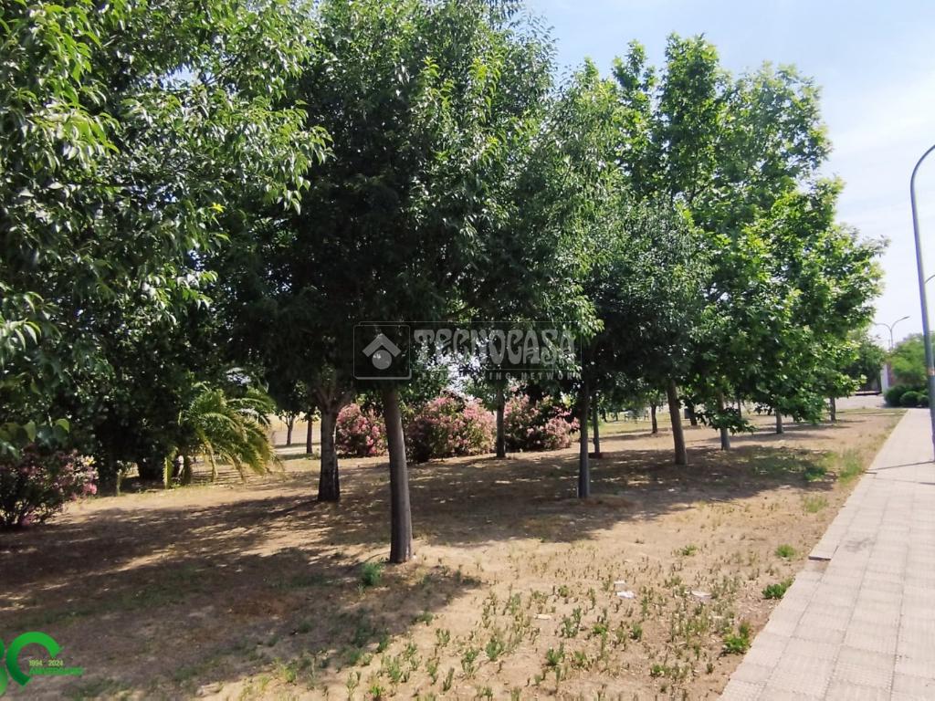 Terrenos en venta en Mora - Mora, 16.000 €, 178 m2, ref. 617062 en Mora
