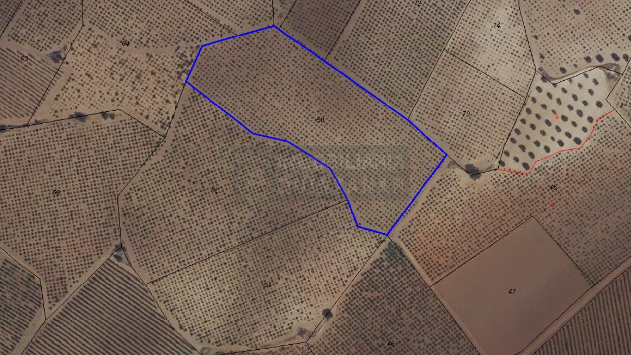 Finca agrícola En buen estado Quintanar de la Orden