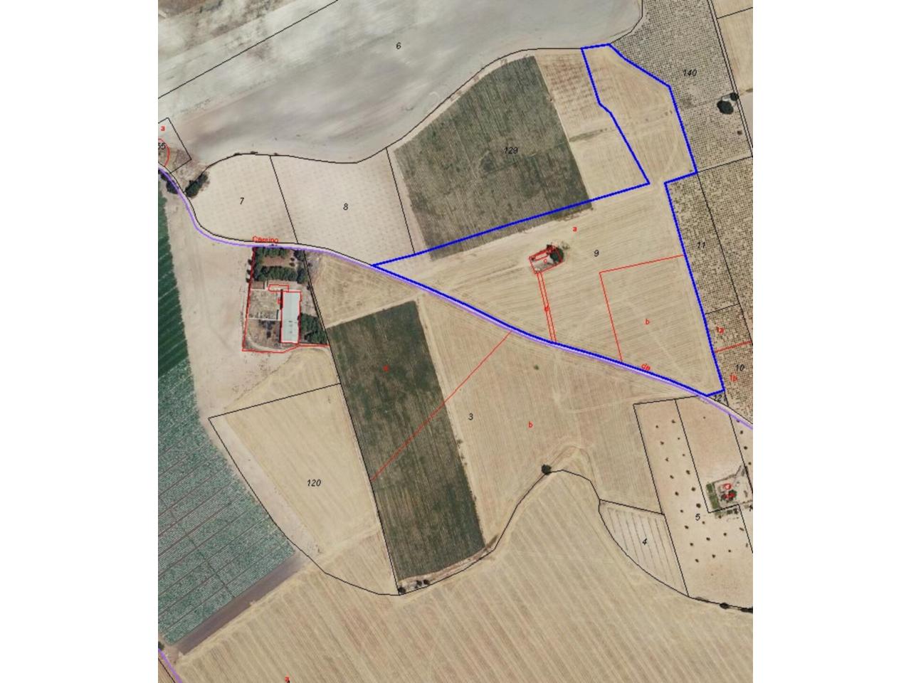 Finca rústica en venta en Daimiel