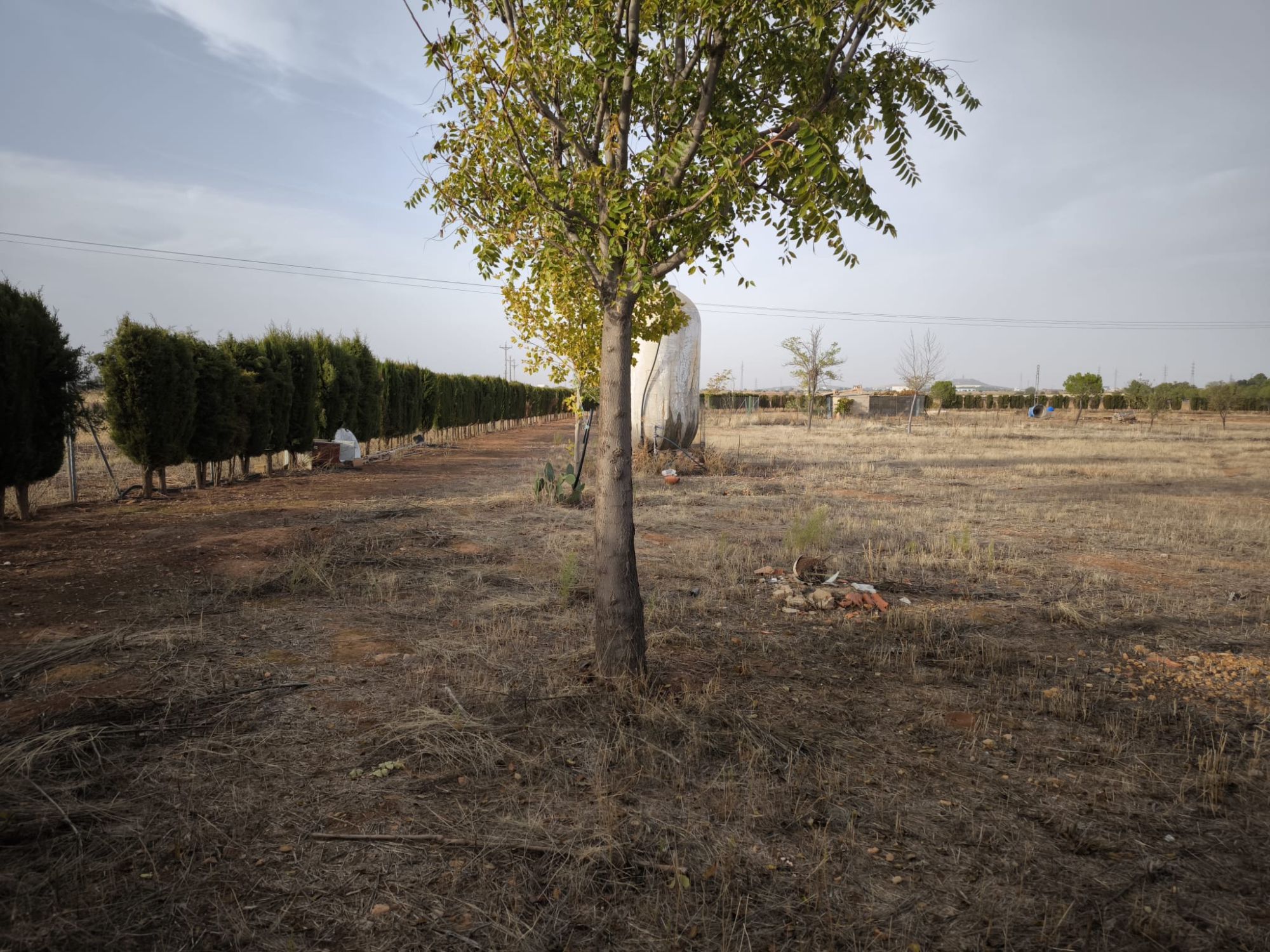 Finca Rústica en Valdepeñas, Nacional - IV