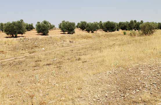 Terreno en venta en calle Mayor San Juan 13400, Ciudad Real, Almadén