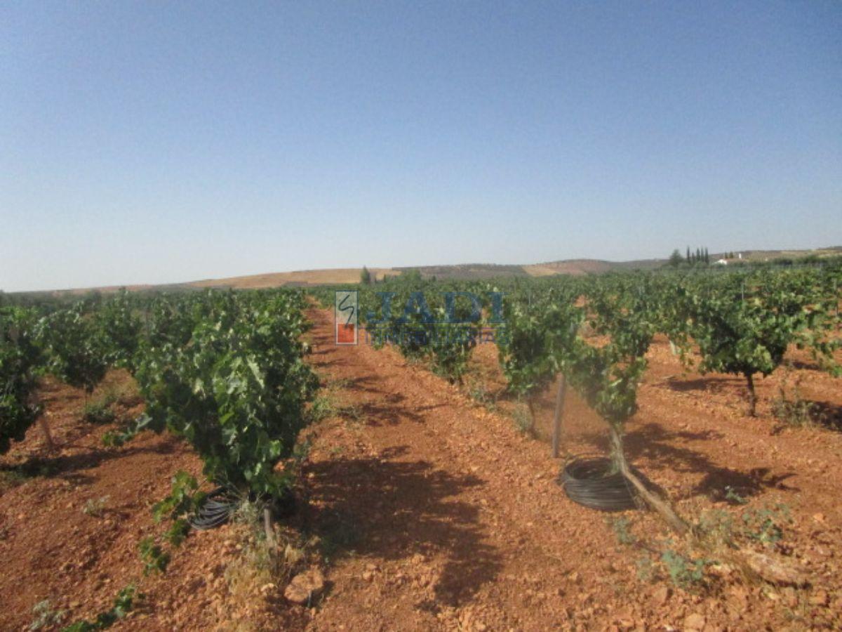 venta de finca rústica en Valdepeñas, CAMPO