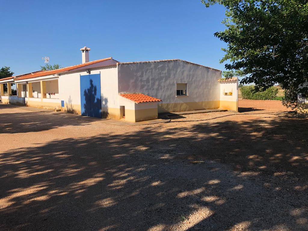 Venta Finca RÃºstica Membrilla, Membrilla