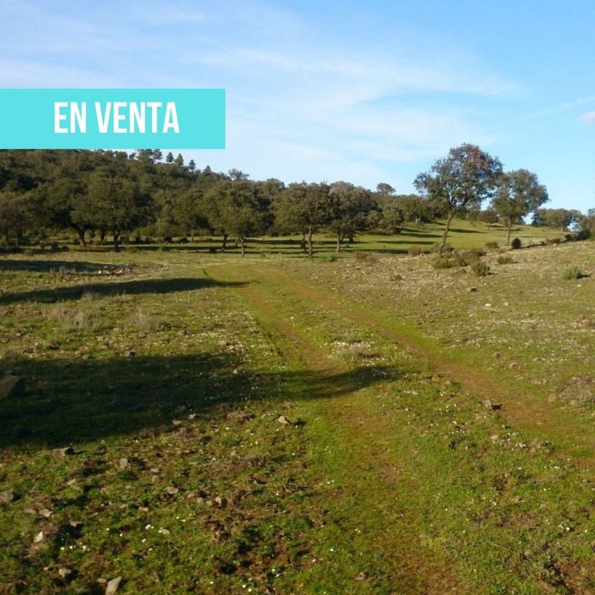 Terreno en venta en finca navapeones s/n en Anchuras