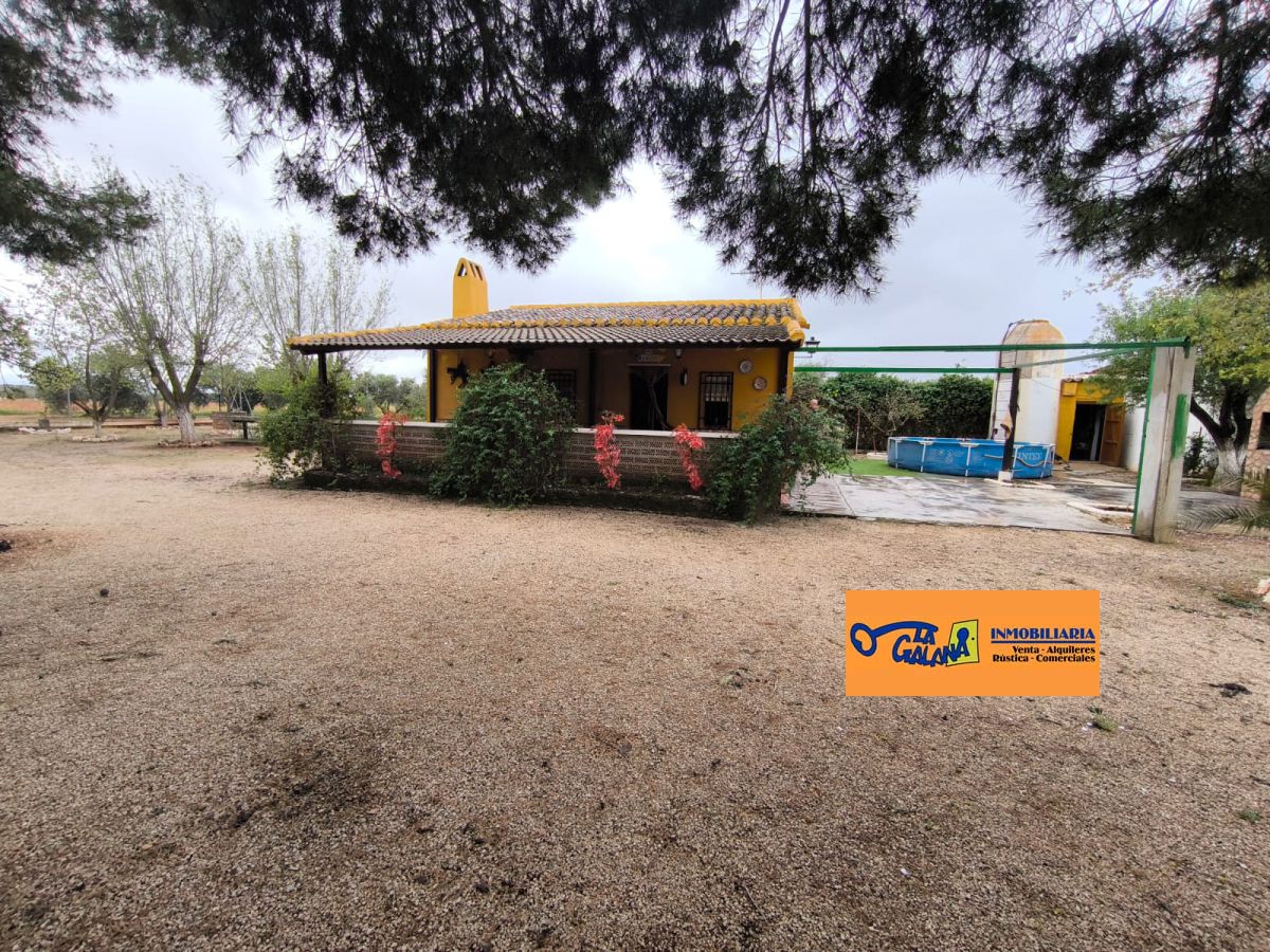 Casa de Campo en Valdepeñas, Carretera de Cozar