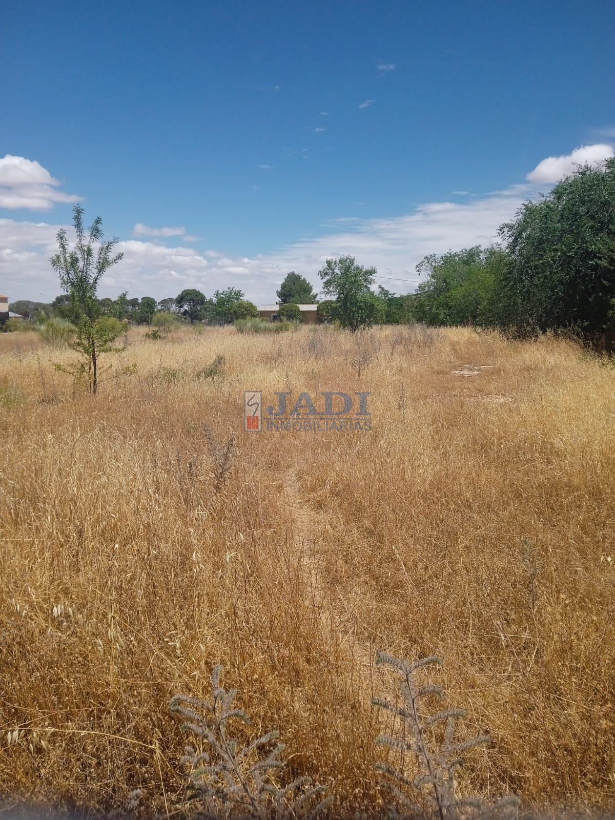 venta de finca rústica en Valdepeñas, BAÑOS DEL PERAL