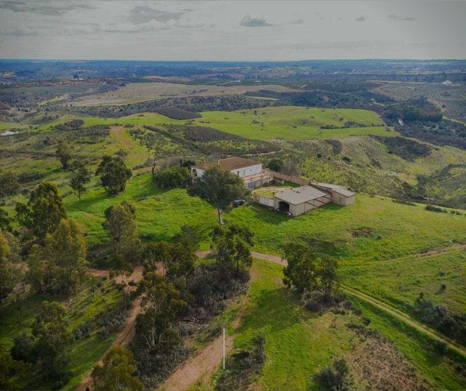 En venta finca con regadío, ganadera y con coto de caza en Ciudad Real en Corral de Calatrava