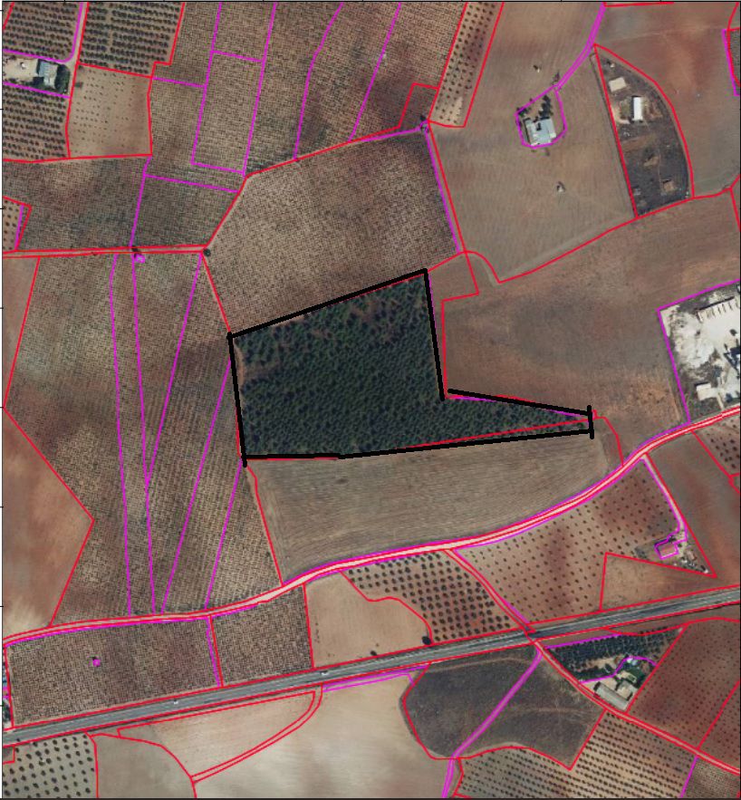 Finca Rústica en Valdepeñas, Carretera Infantes