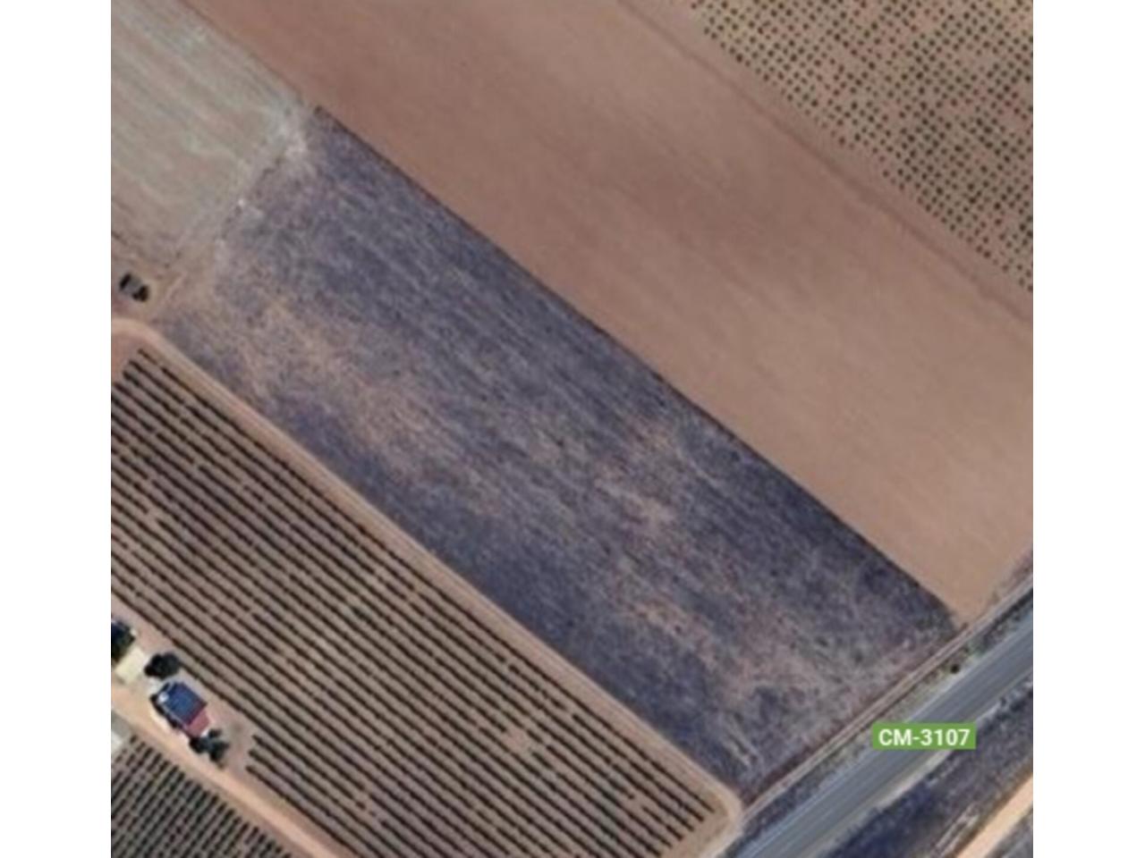 Finca rústica en venta en Manzanares