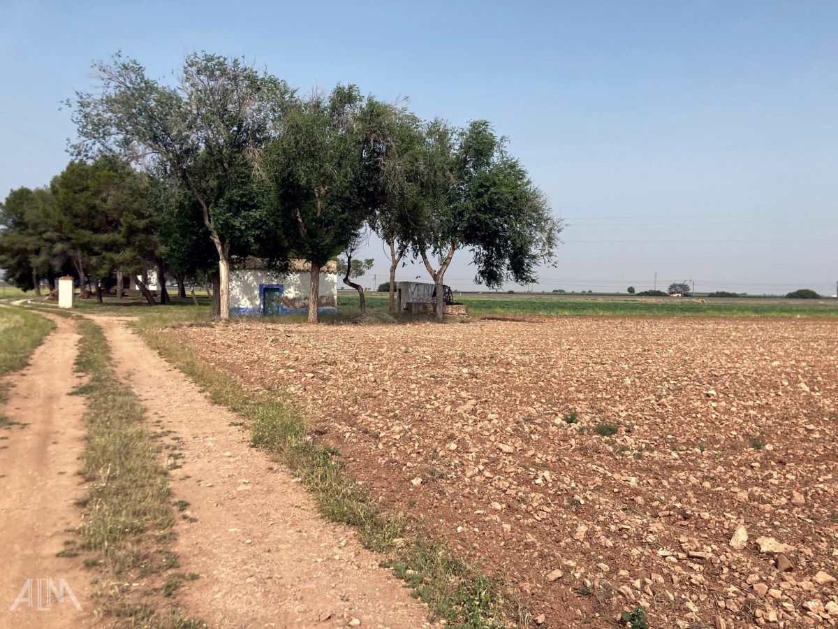 Venta Finca RÃºstica Membrilla, Membrilla