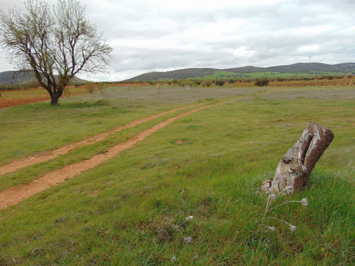 Finca Rústica en San Carlos Del Valle, San Carlos Del Valle