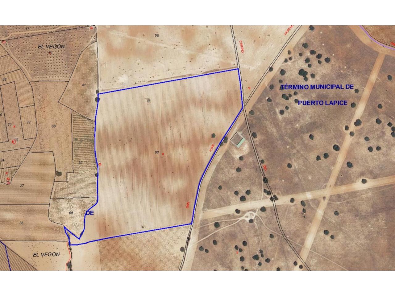 Finca rústica en venta en Puerto Lápice