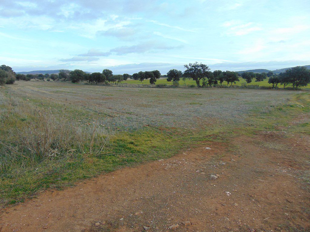 Finca Rústica en Viso Del Marques, Bazán