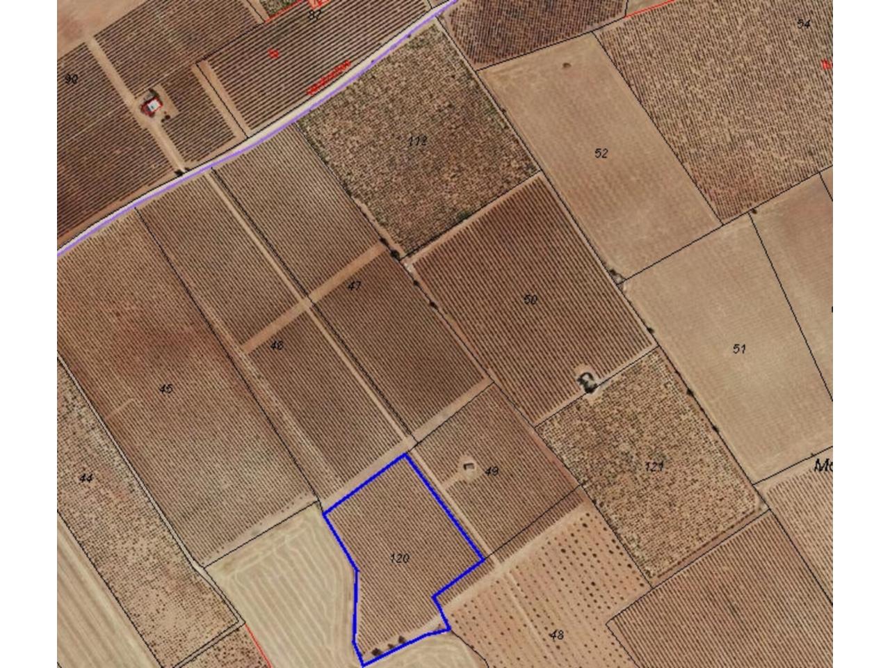Finca rústica en venta en Daimiel
