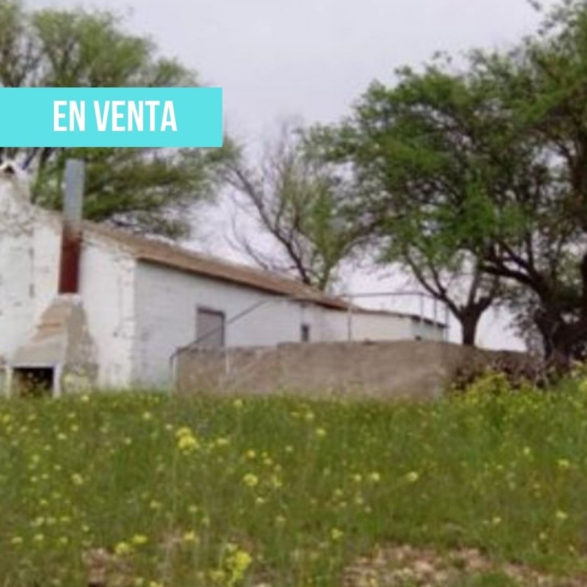 Terreno en venta en carretera de Daimiel s/n en Fuente el Fresno