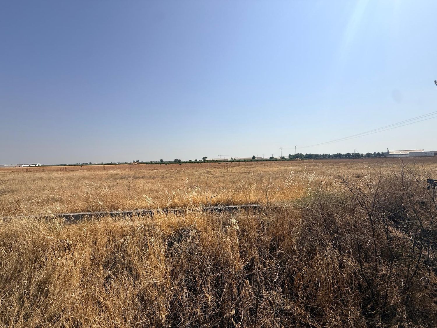 Terreno / No urbanizable En Venta Carretera Alcázar 74, Tomelloso