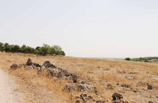 Terreno en venta en cmno Puente S/n 13610, Ciudad Real, Campo de Criptana