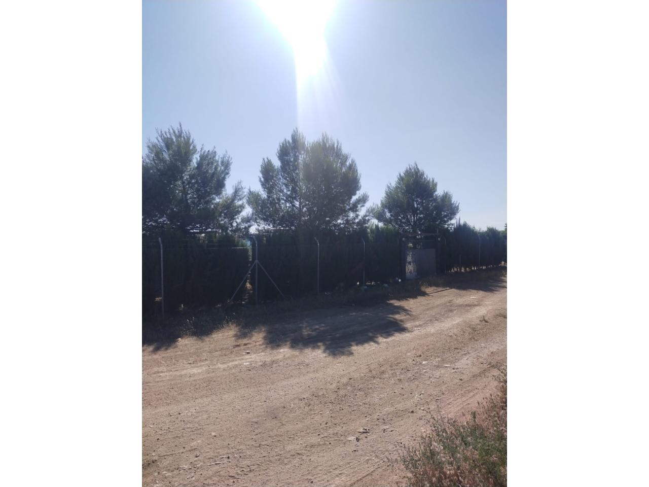 Finca rústica en venta en Manzanares