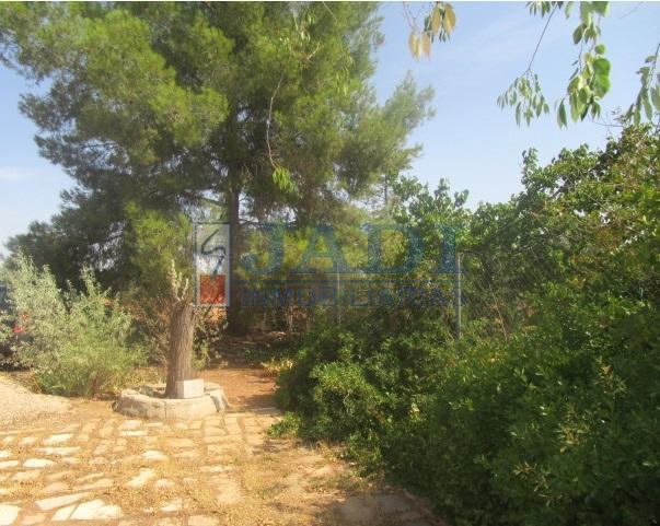 venta de casa en Valdepeñas, CAMPO