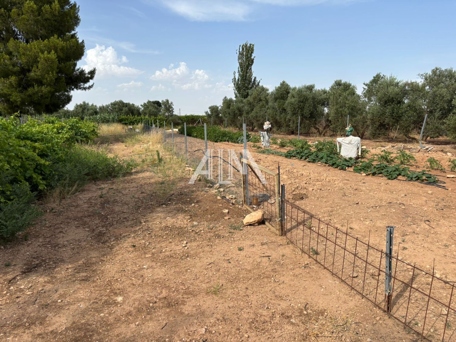 Venta Casa de Campo Periferia, Manzanares