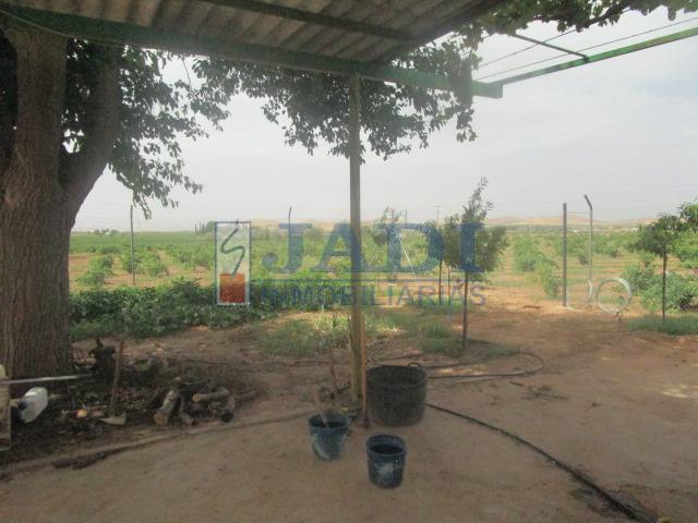venta de casa en Valdepeñas, CAMPO