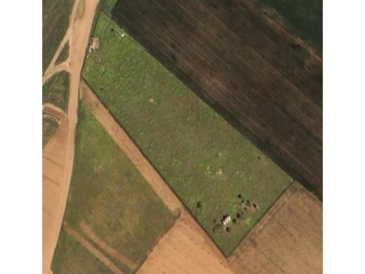 Finca rústica en venta en Manzanares