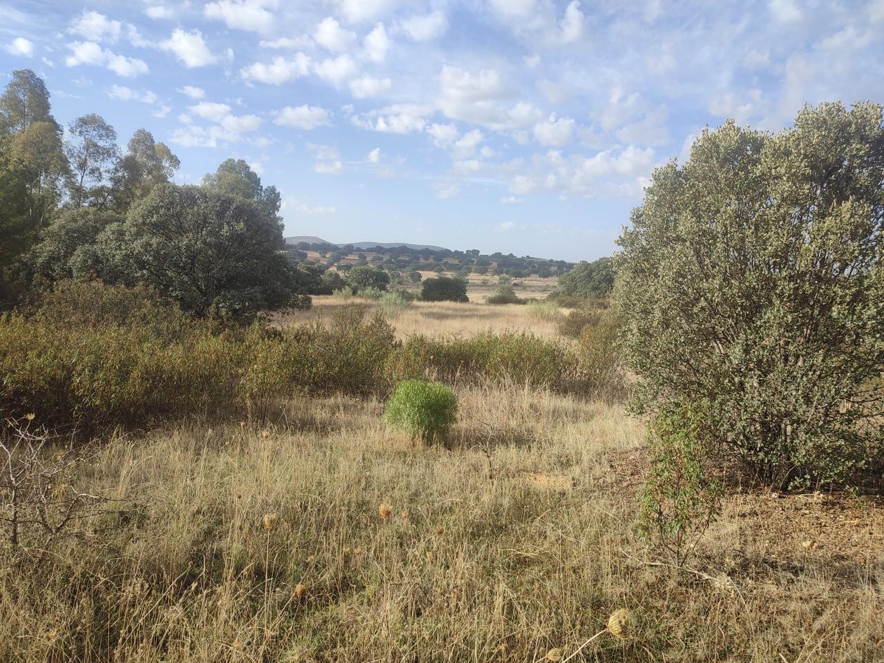 Terreno en Paisaje El Talaverano, Brazatortas