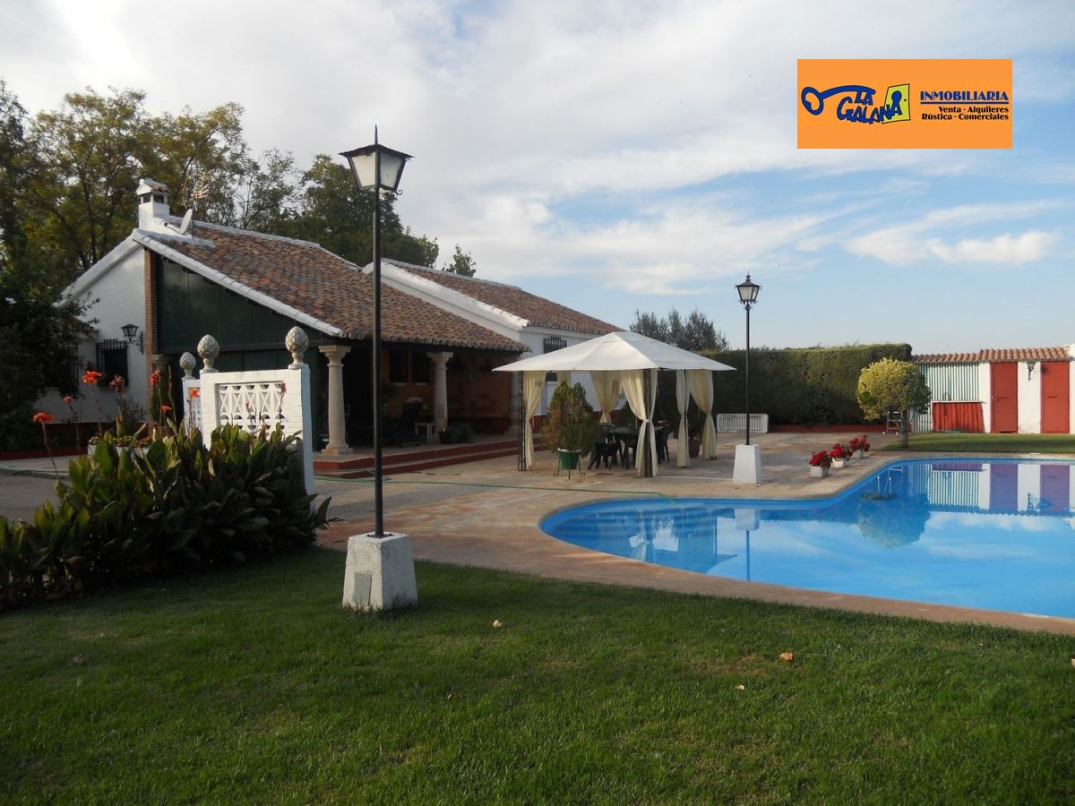 Casa de Campo en Valdepeñas, Nacional - IV