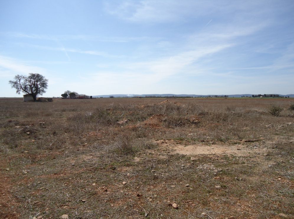 Venta Finca RÃºstica Periferia, Manzanares