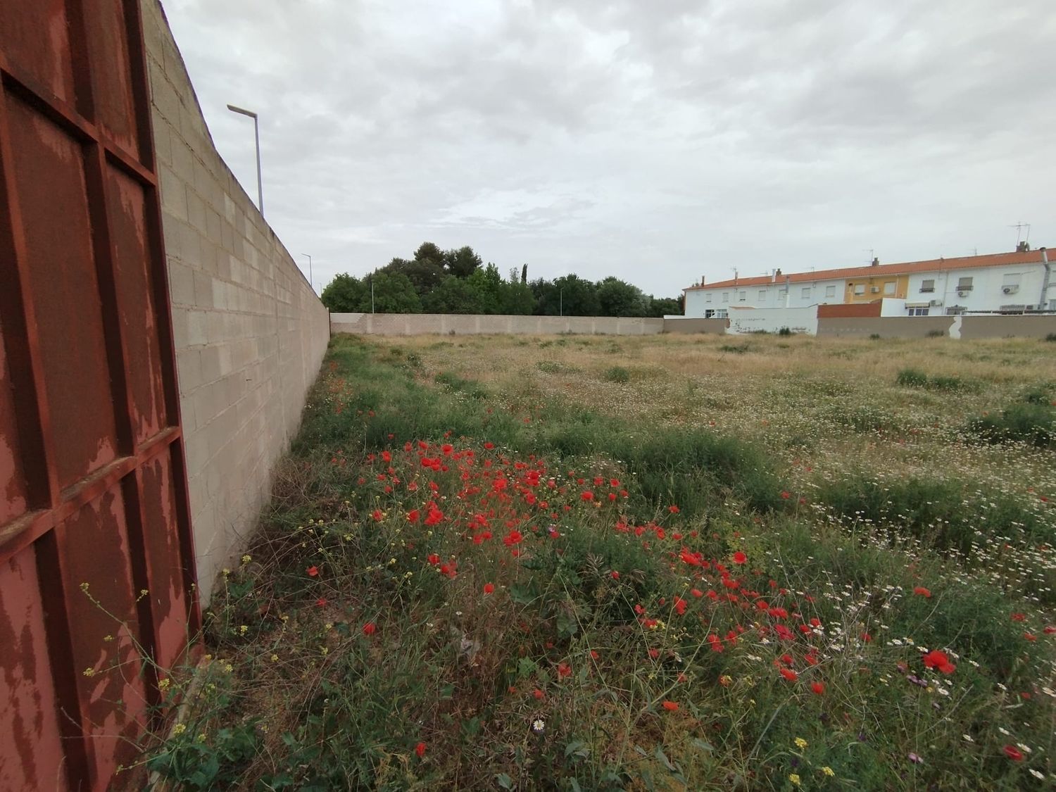 Terreno / Urbanizable En Venta Calle la Paz, Tomelloso