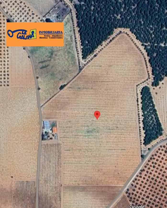 Finca Rústica en Valdepeñas, Aguas