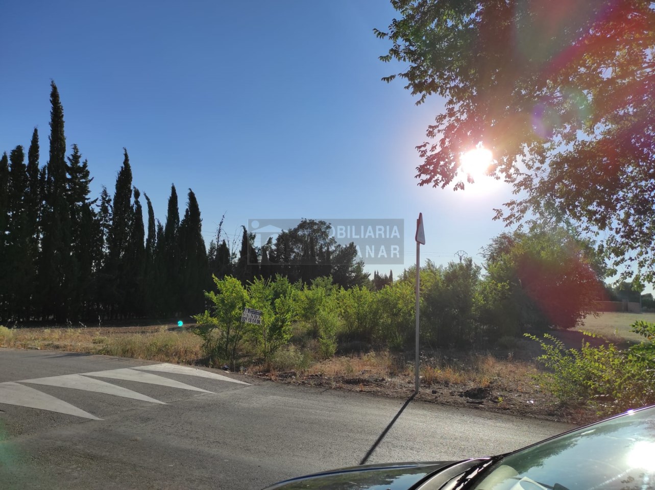 Parcela En buen estado La Villa de Don Fadrique