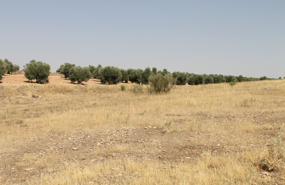 Terreno en venta en lugar De la Laguna 13610, Ciudad Real, Campo de Criptana
