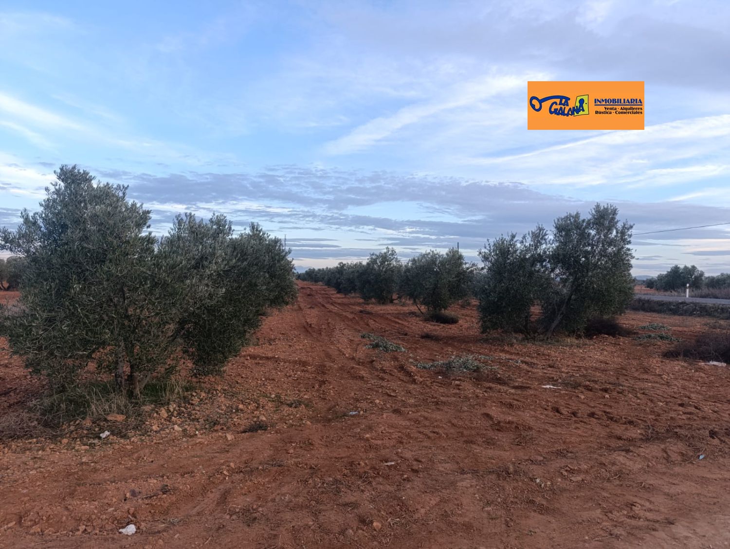 Finca Rústica en Valdepeñas, Carretera Moral