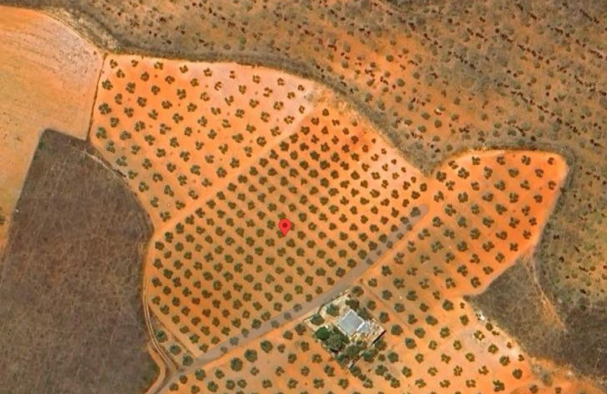 Finca Rústica en Valdepeñas, Carretera Santa Cruz