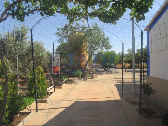 venta de casa en Valdepeñas, CAMPO