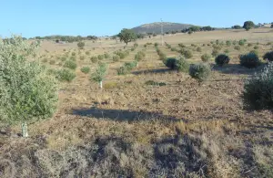 Inmuebles en Aldeaquemada