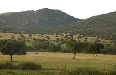 Finca en venta y alquiler