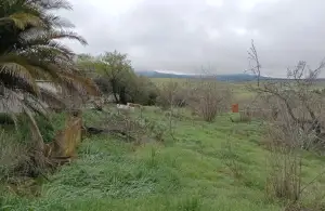 Inmuebles en Cabezarrubias del Puerto