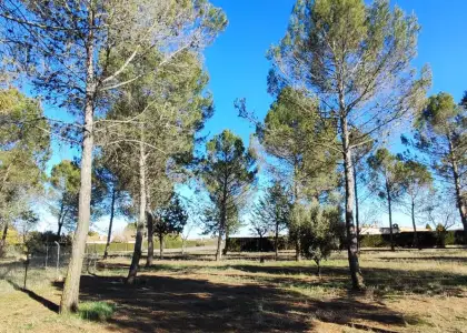 Terreno Rústico en la Poblachuela camino moledores Ciudad Real. en Ciudad Real