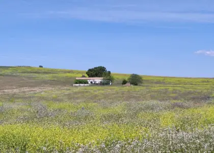 Terreno en Ciudad Real Carretera de Toled0 la atalaya en Ciudad Real