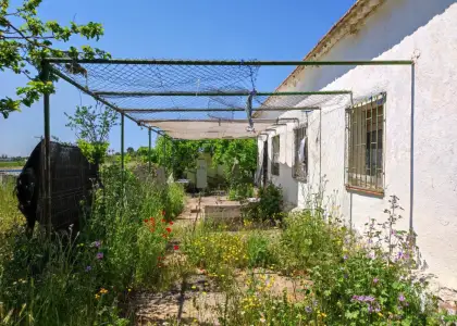 Terreno en Ciudad Real Carretera de Toled0 la atalaya en Ciudad Real