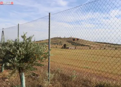Finca Rústica en Alcázar de San Juan - Oportunidad Única por €175,000 en Alcázar de San Juan