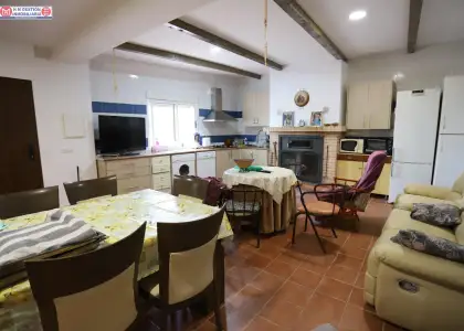 terreno de 2 hectareas con olivos y chalet Y DOS NAVES en Alcázar de San Juan