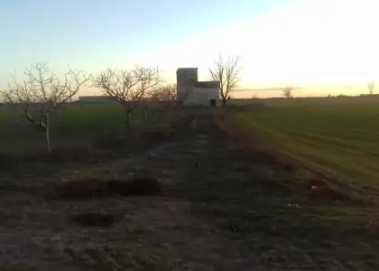 Se vende finca de viñedo en termino de socuellamos con derechos de riego en toda la finca en Socuéllamos