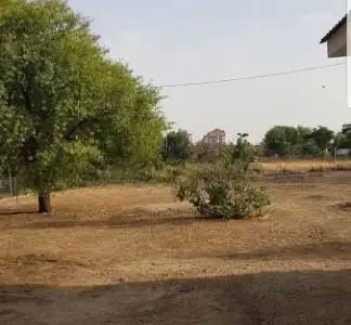 Vivienda con 1200 metros de terreno rustico a 5 minutos andando de fiesta del arbol en Albacete