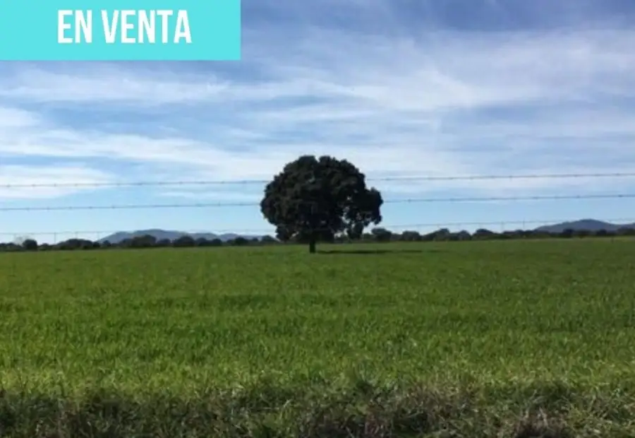 Terreno en venta en carretera cm, km 4.017 en Retuerta del Bullaque